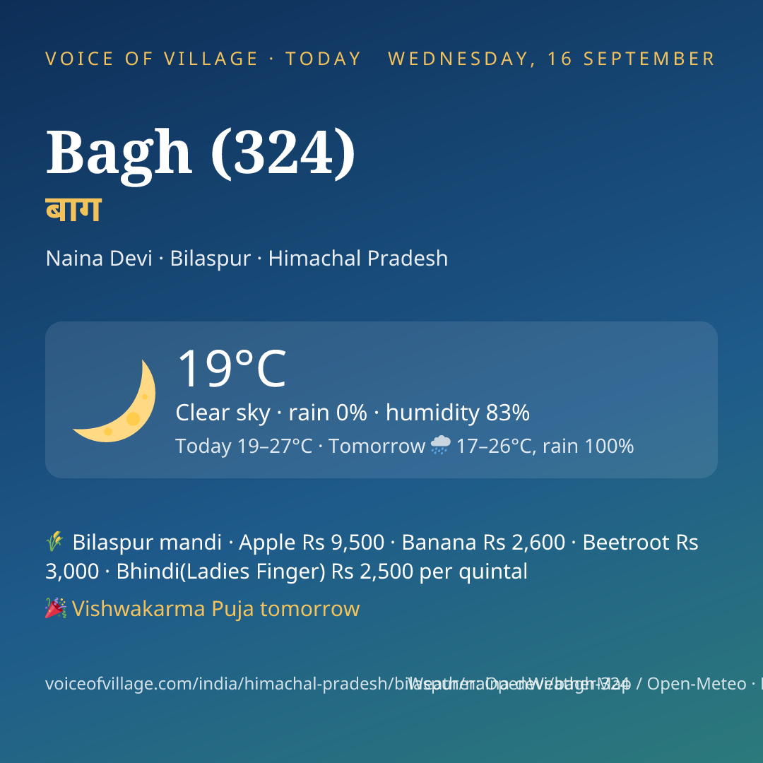 Bagh (324) today