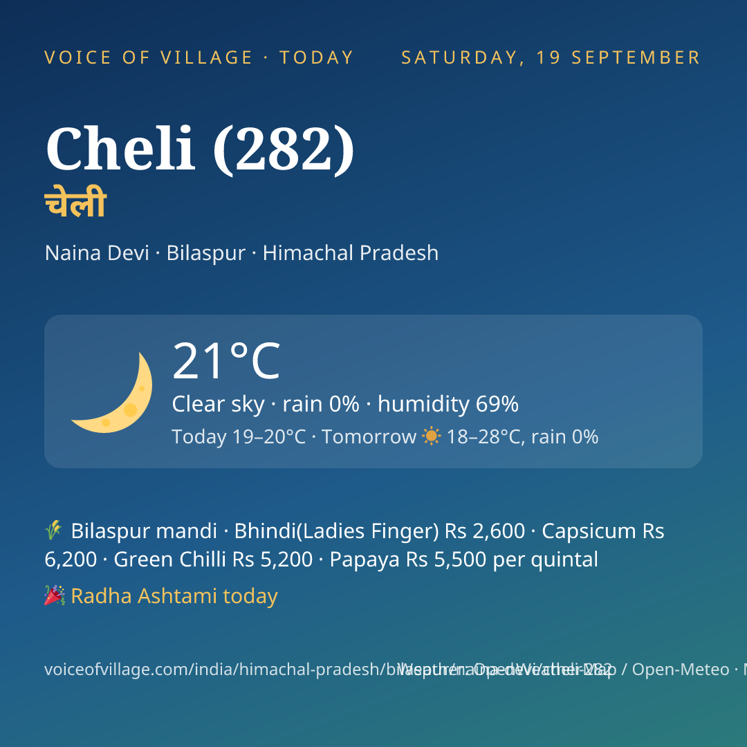 Cheli (282) today
