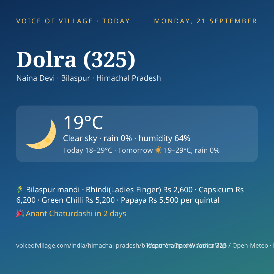 Dolra (325) today