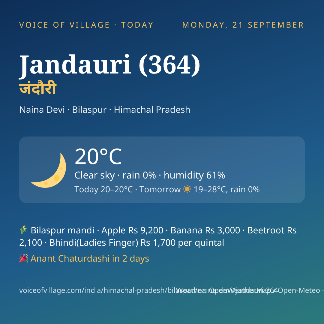 Jandauri (364) today