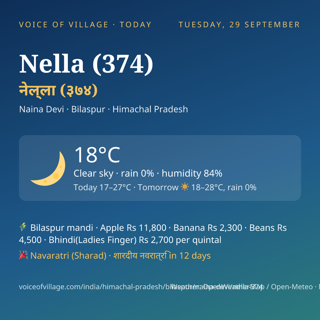 Nella (374) today