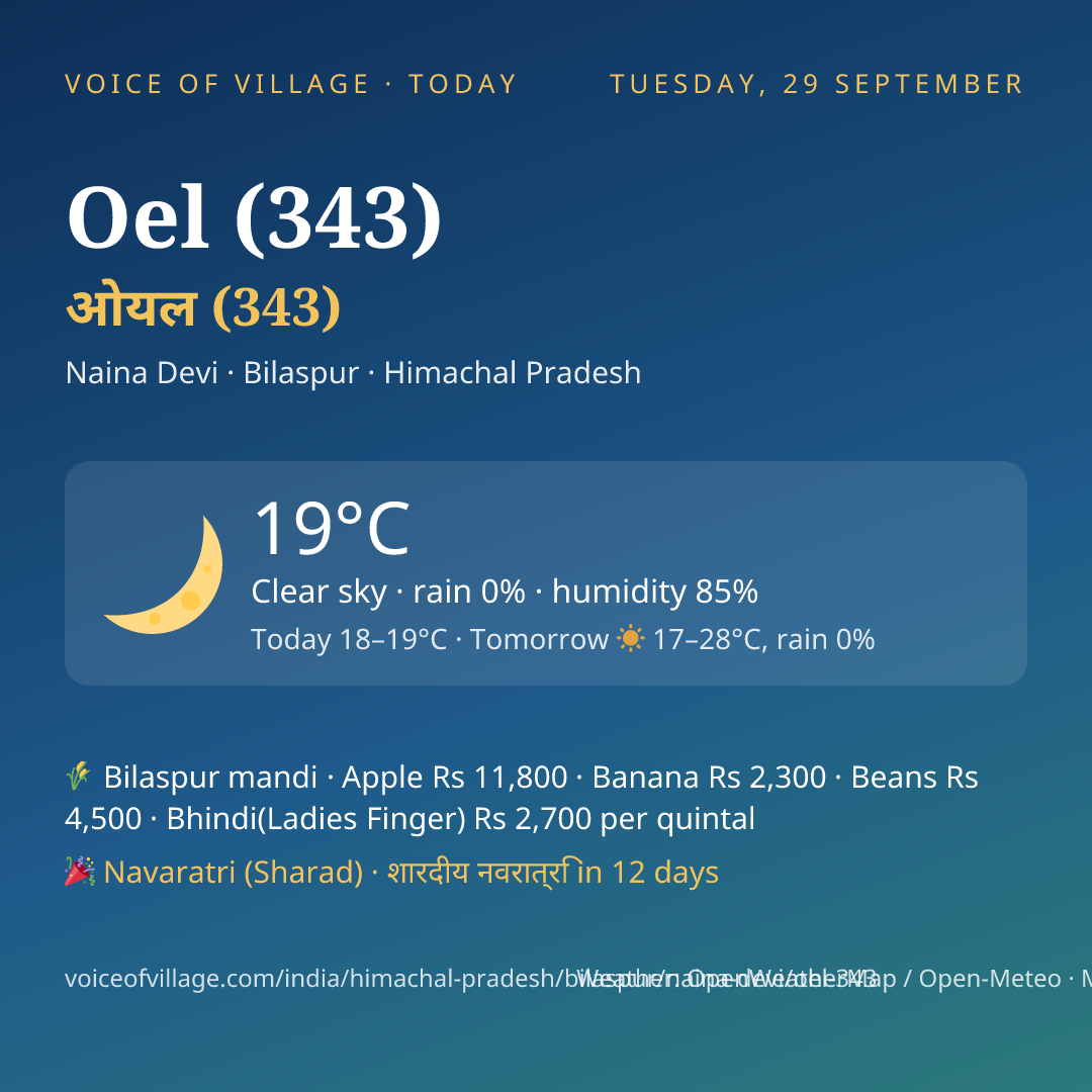 Oel (343) today