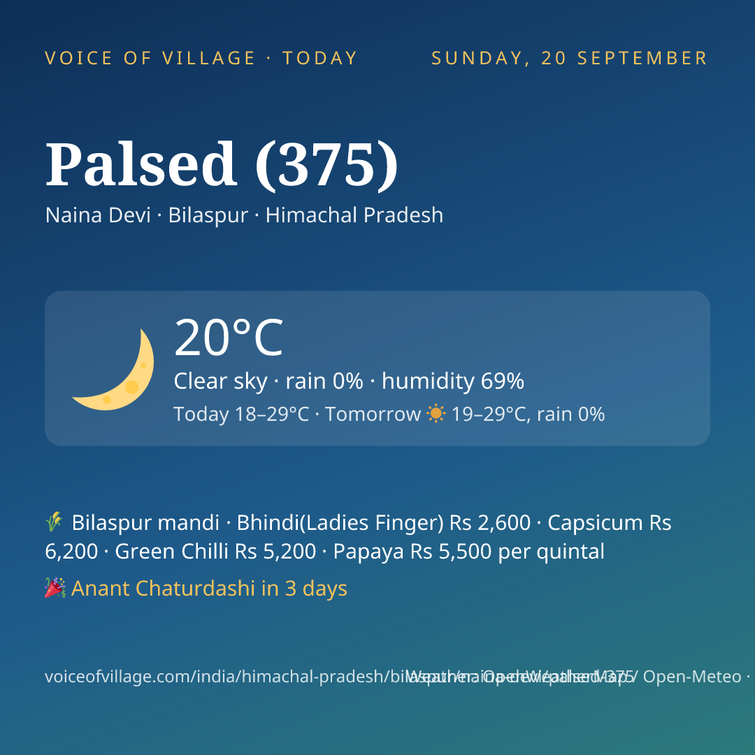Palsed (375) today