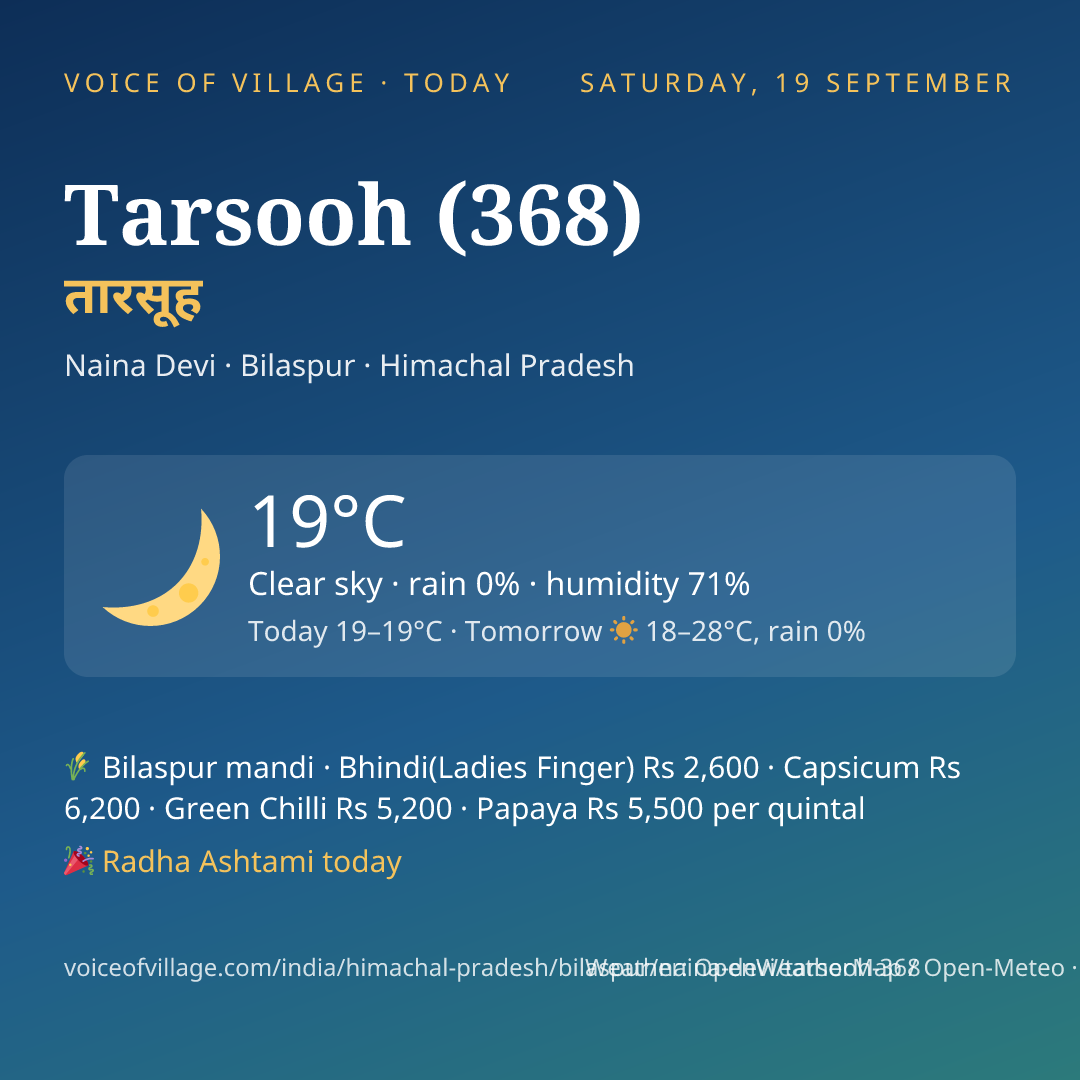 Tarsooh (368) today