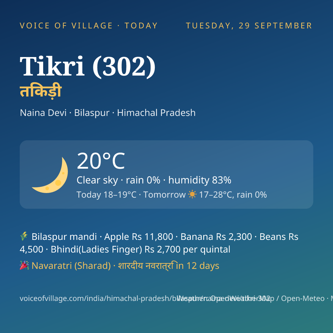 Tikri (302) today