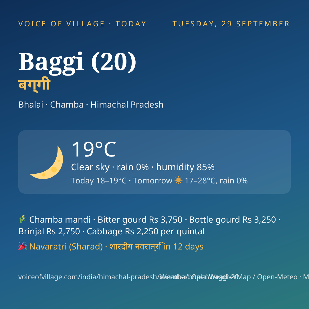 Baggi (20) today