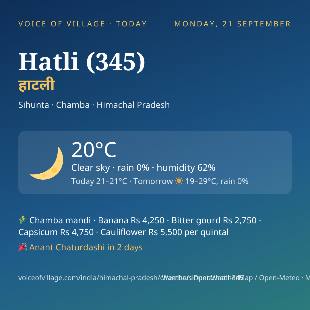 Hatli (345) today