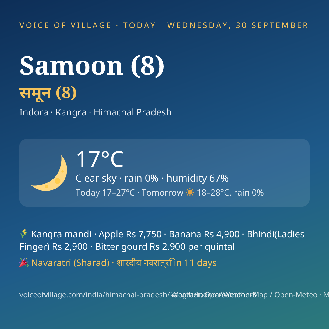 Samoon (8) today