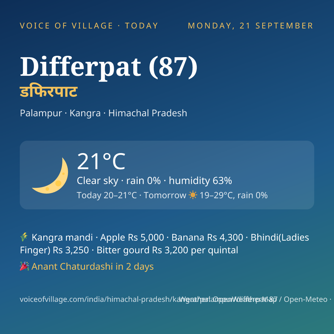 Differpat (87) today