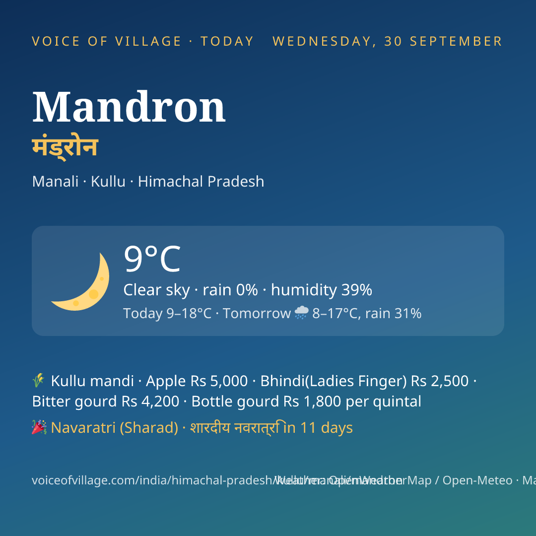 Mandron today