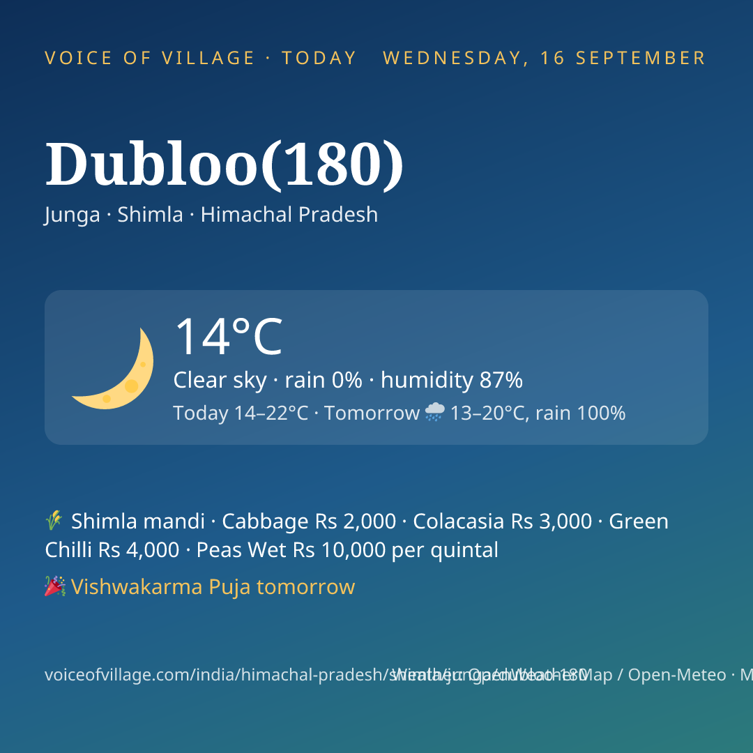 Dubloo(180) today