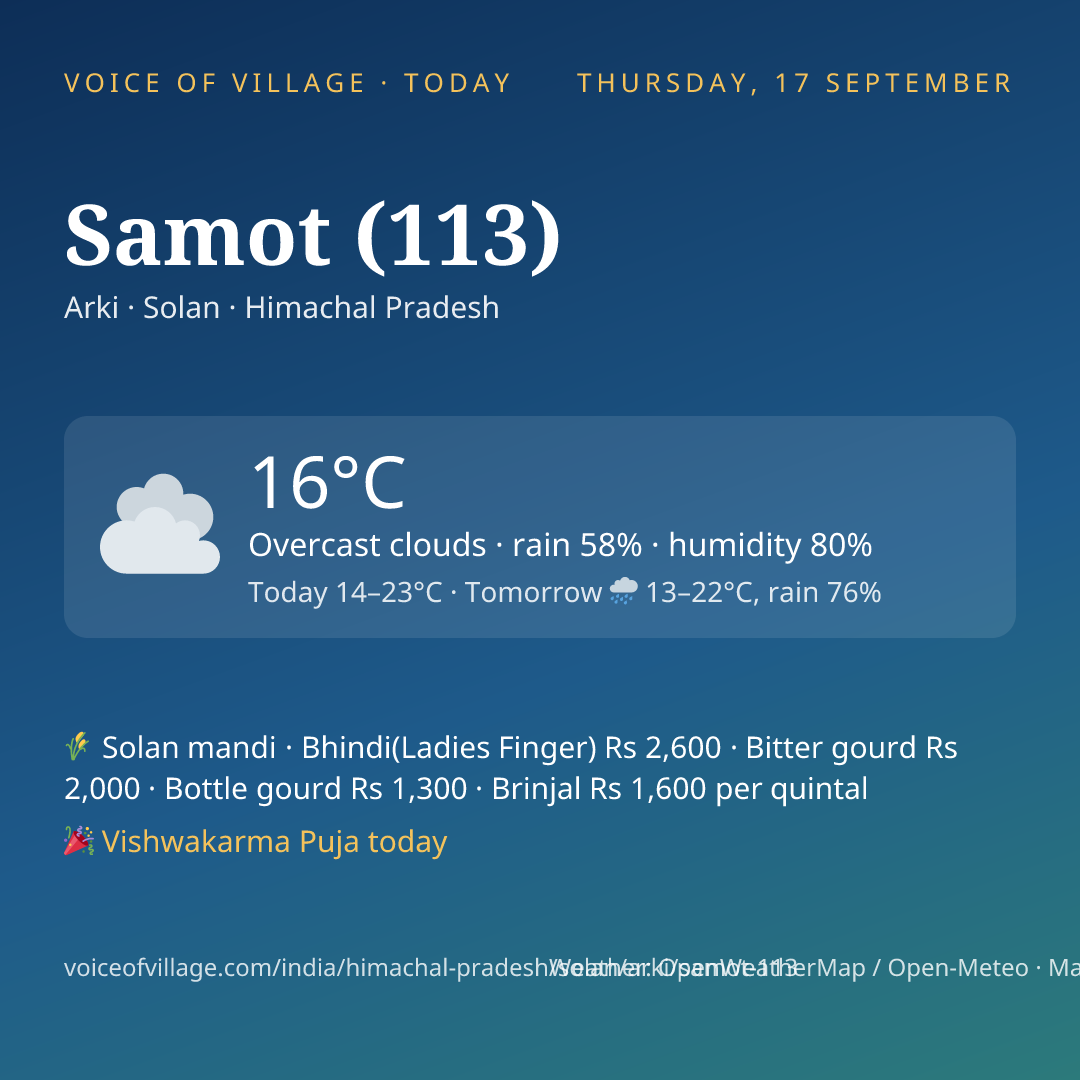 Samot (113) today