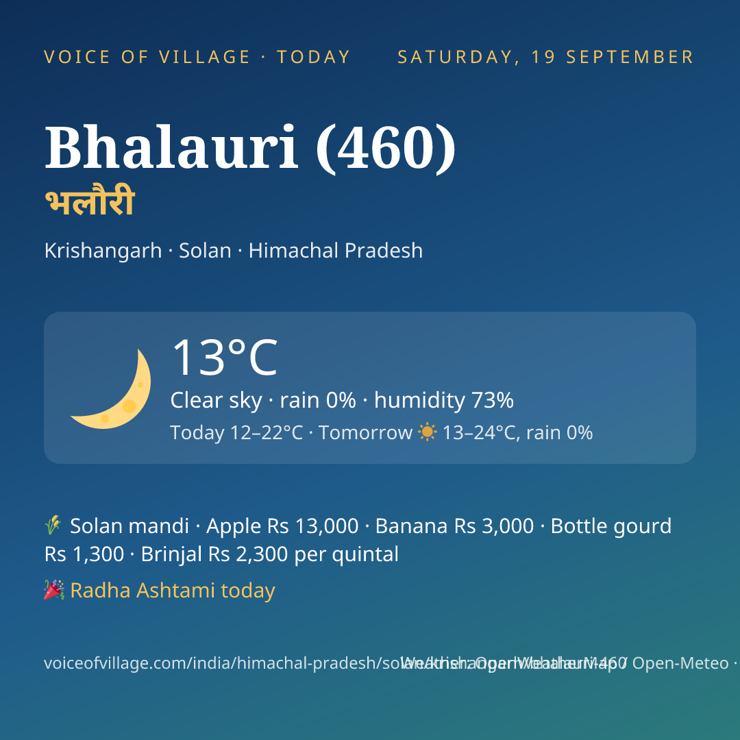 Bhalauri (460) today
