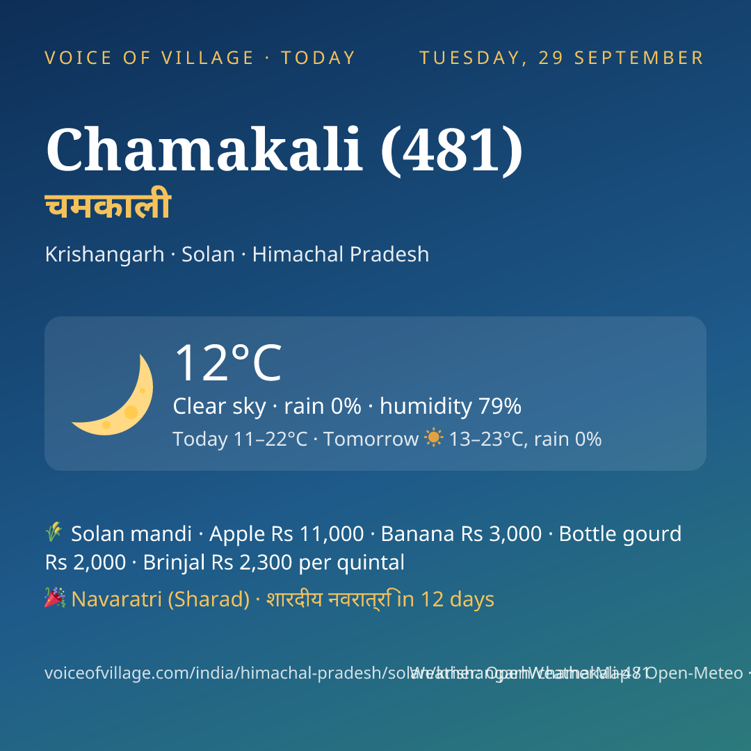 Chamakali (481) today