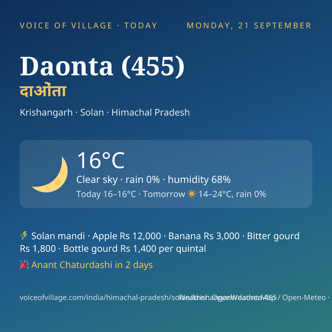 Daonta (455) today