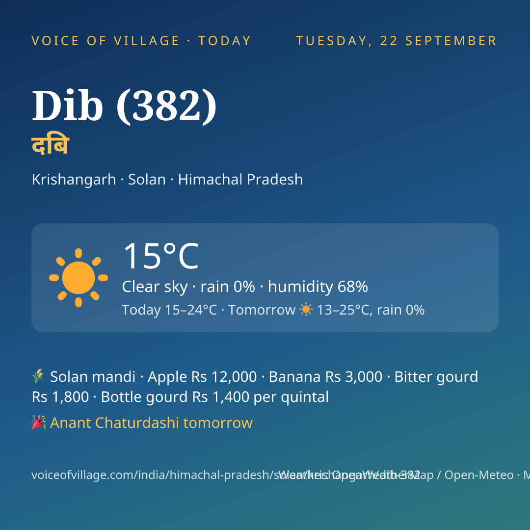 Dib (382) today