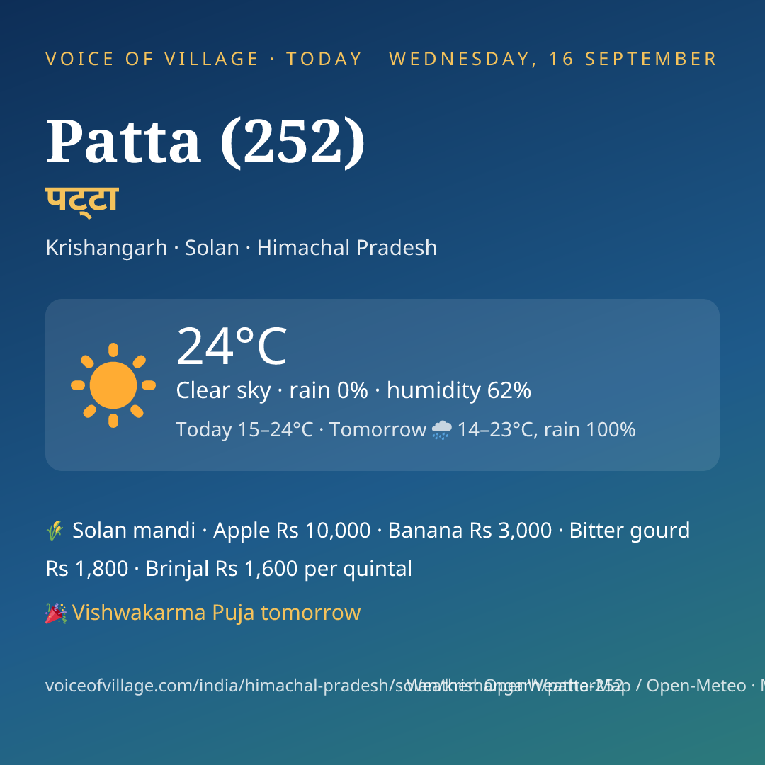 Patta (252) today