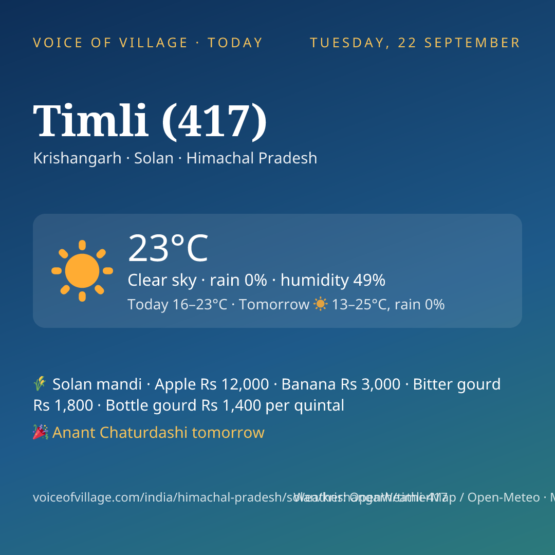Timli (417) today