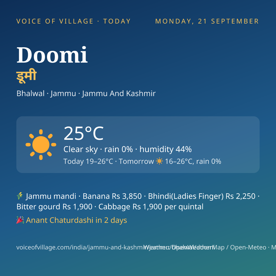 Doomi today