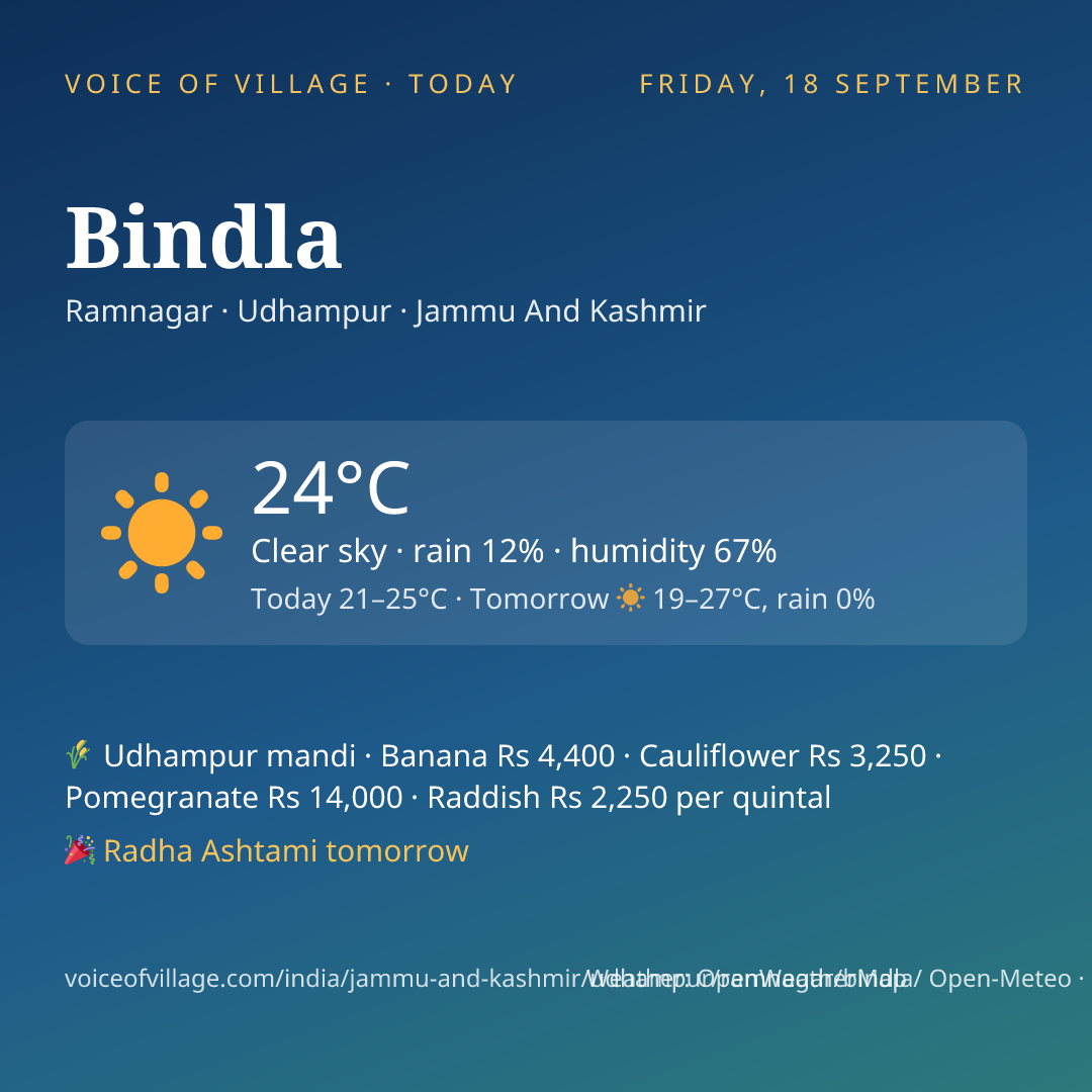 Bindla today