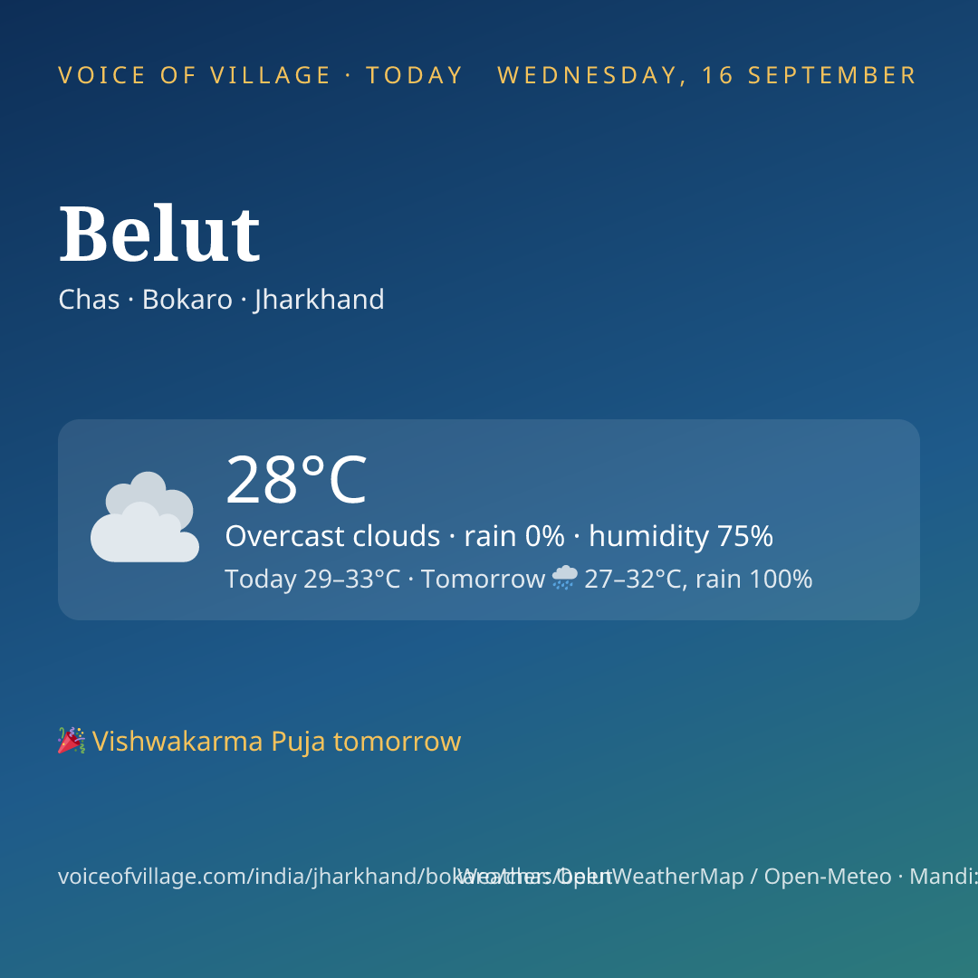 Belut today