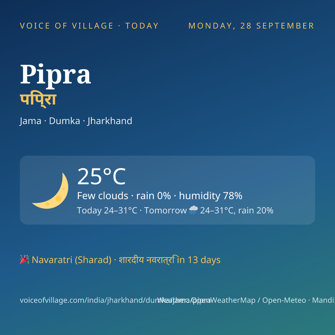 Pipra today