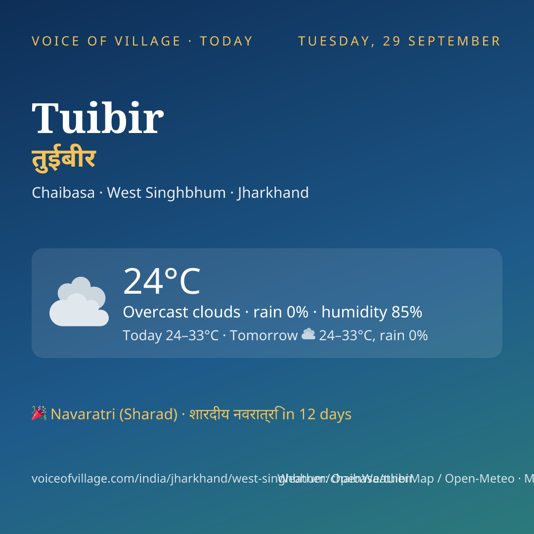 Tuibir today
