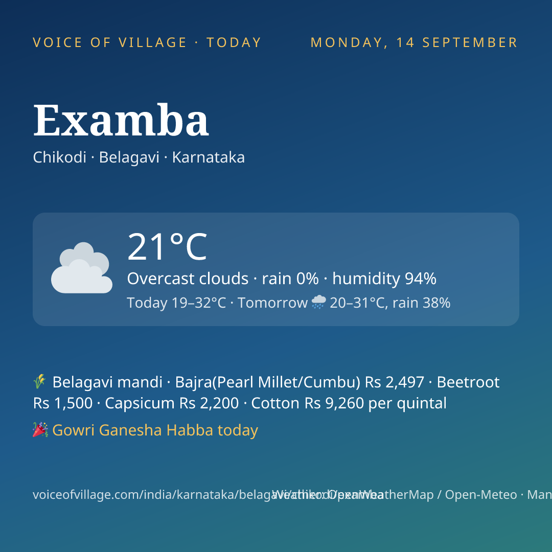 Examba today