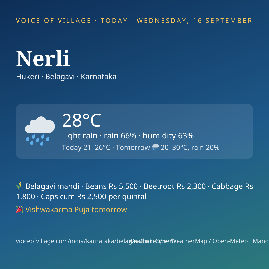 Nerli today