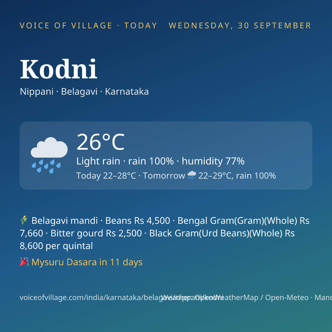 Kodni today