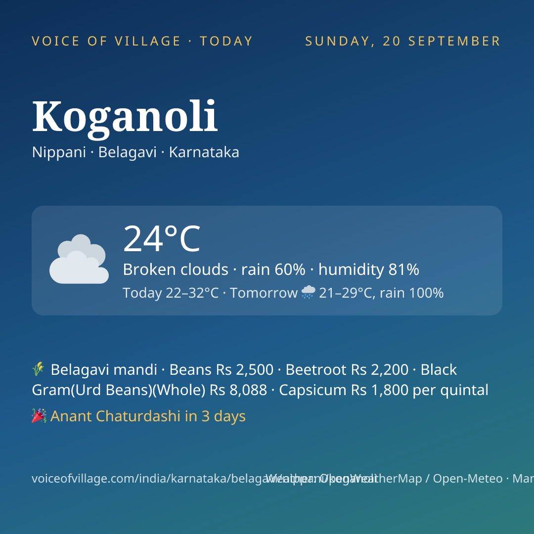 Koganoli today