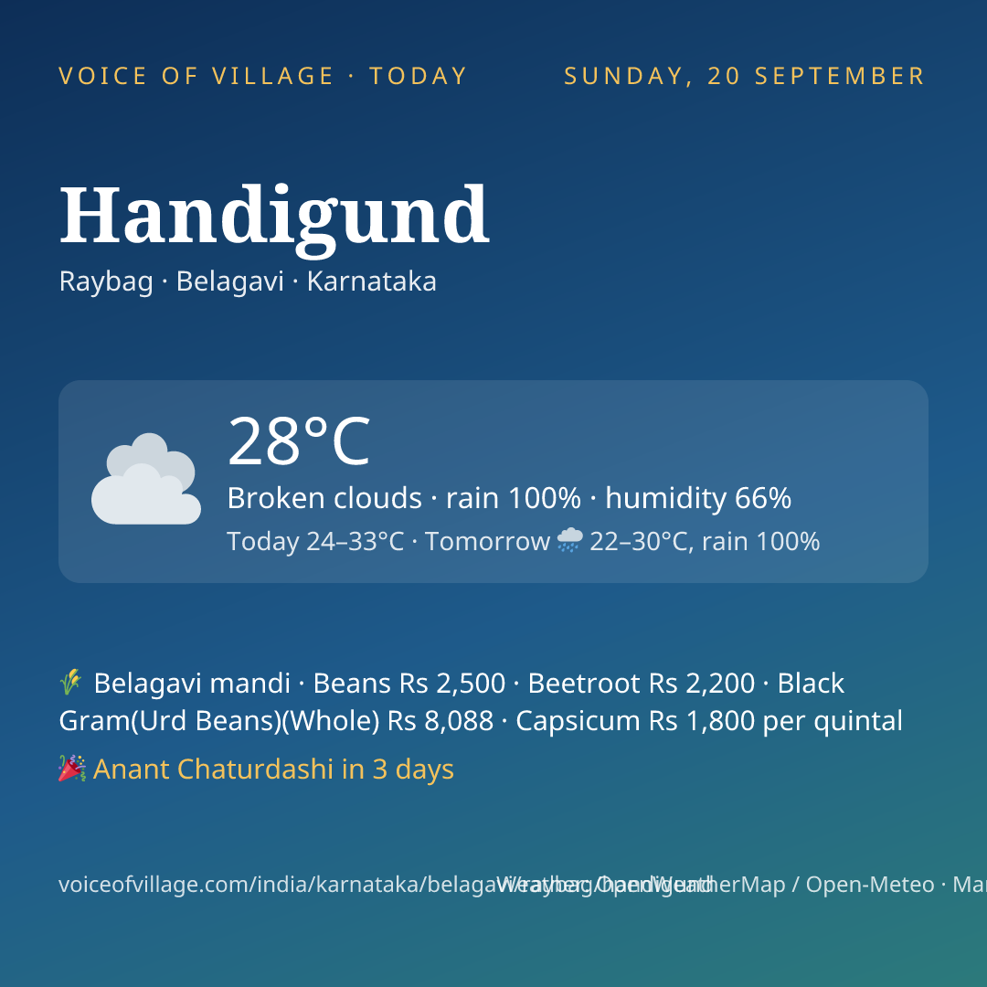 Handigund today