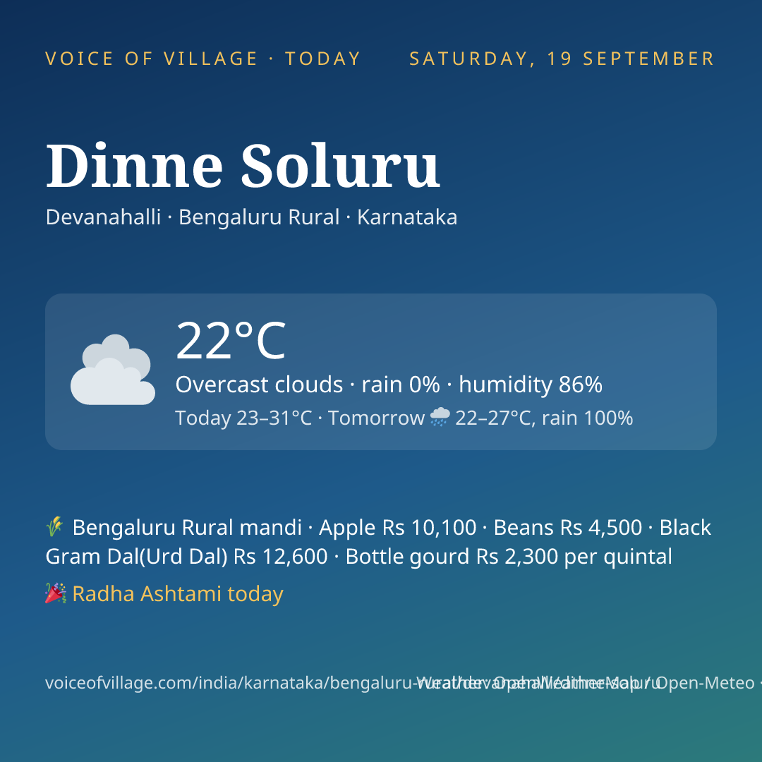 Dinne Soluru today