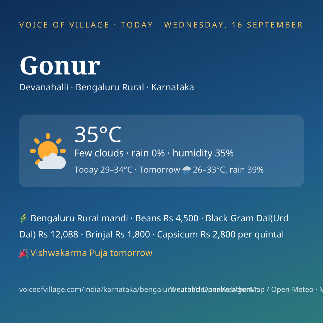 Gonur today