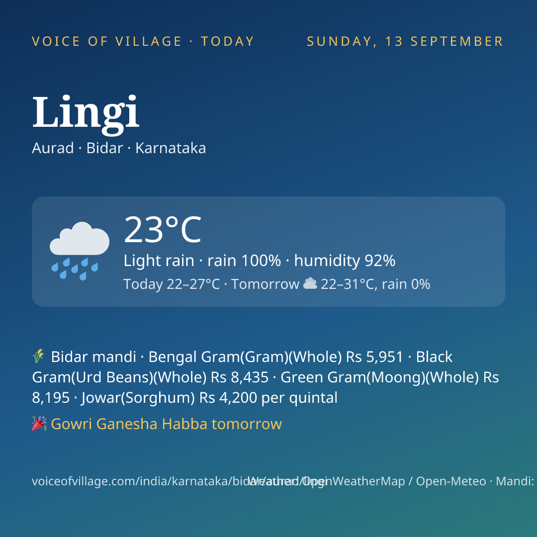 Lingi today
