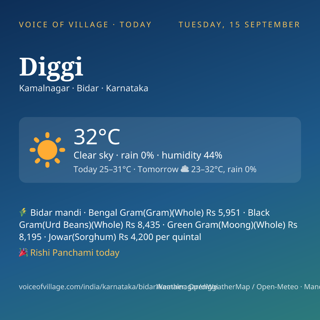 Diggi today