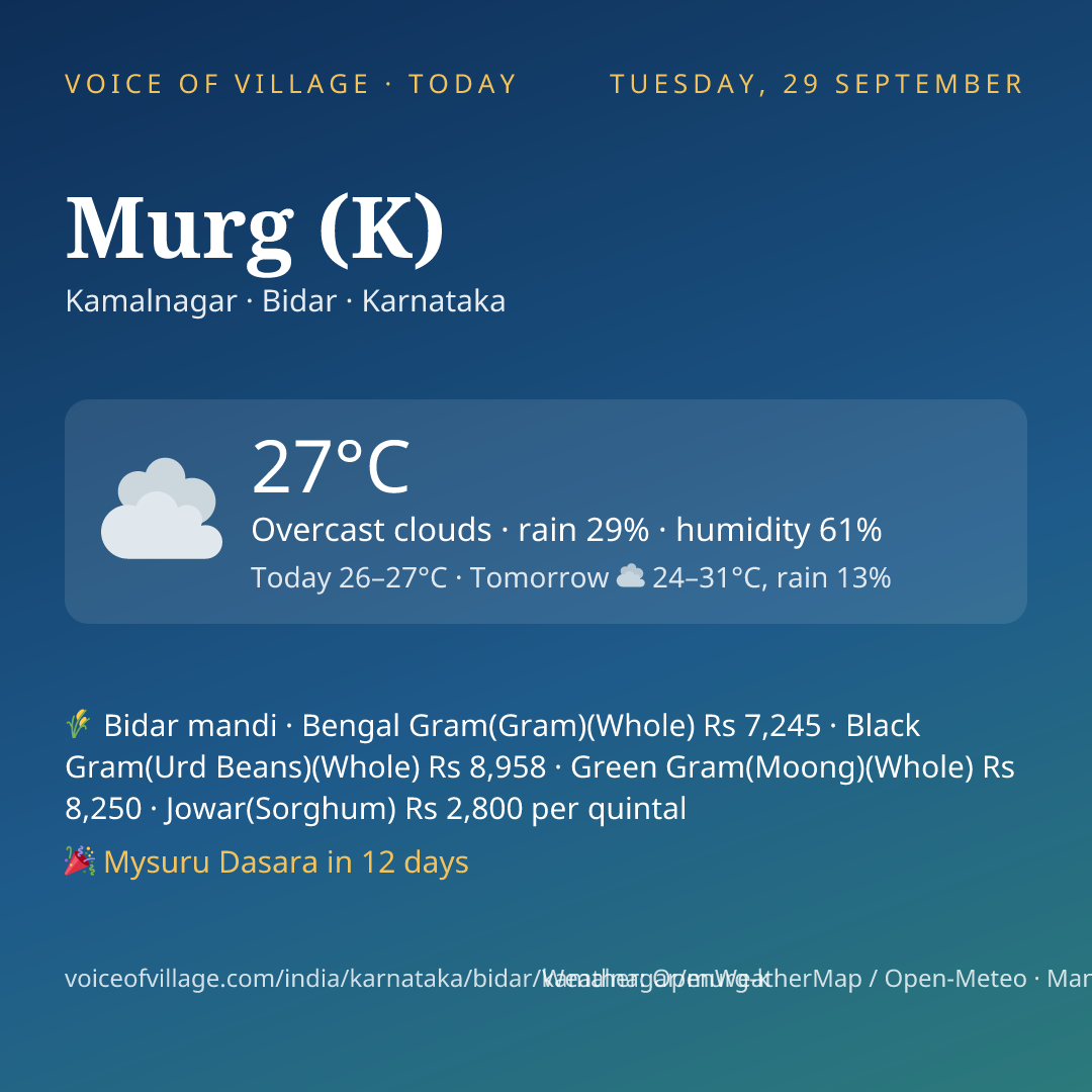 Murg (K) today