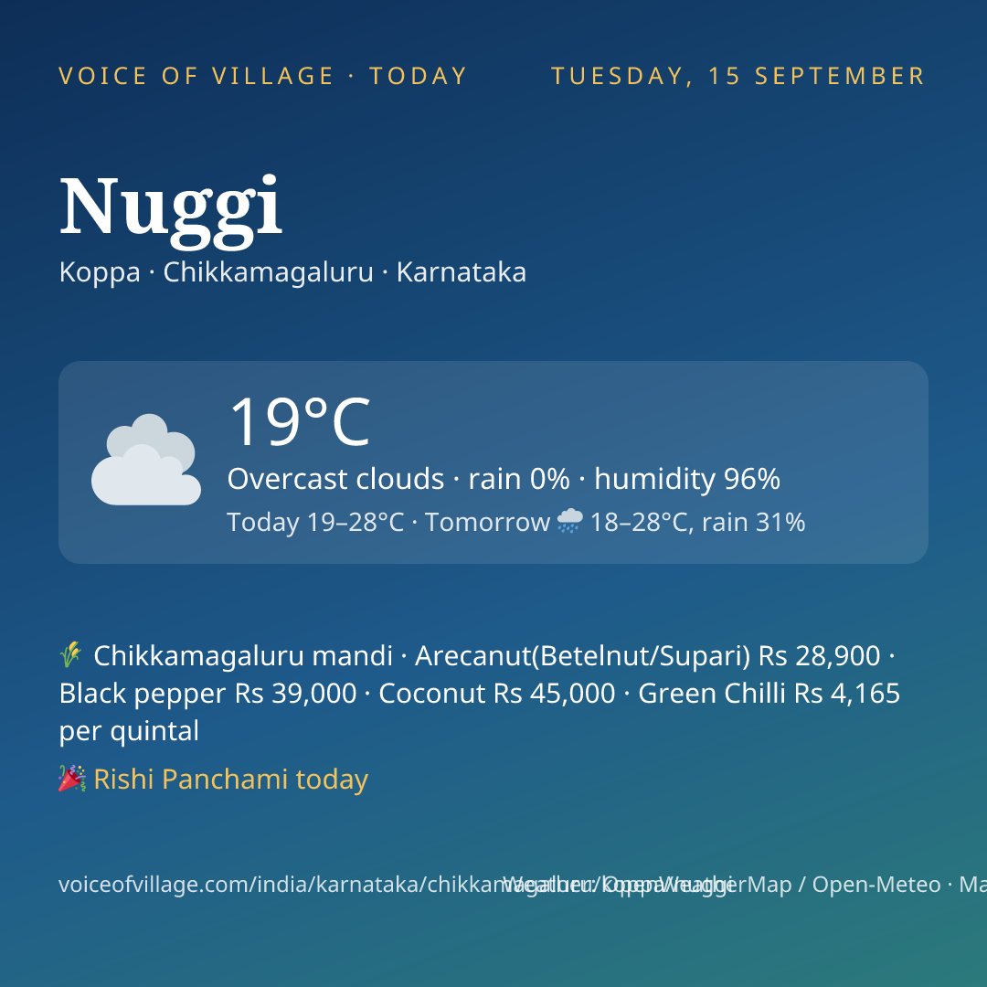 Nuggi today
