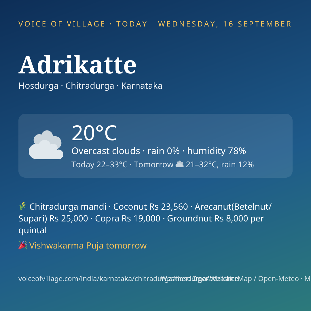 Adrikatte today