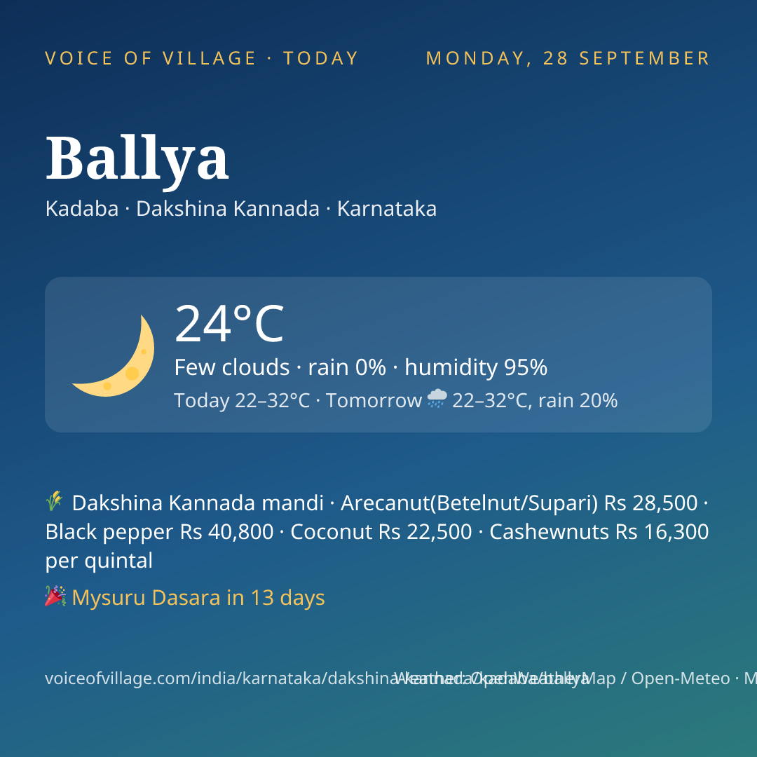 Ballya today
