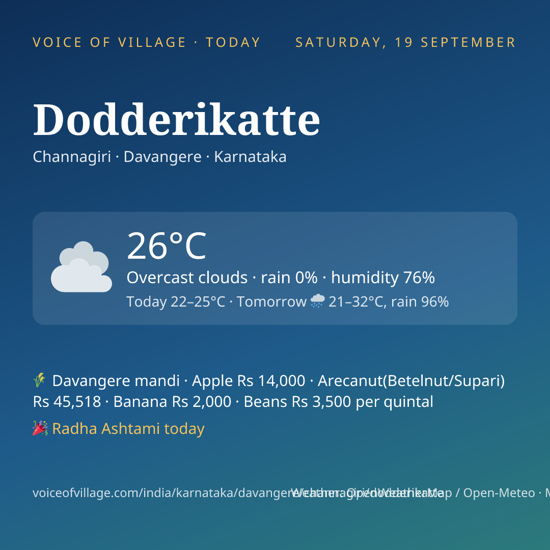 Dodderikatte today