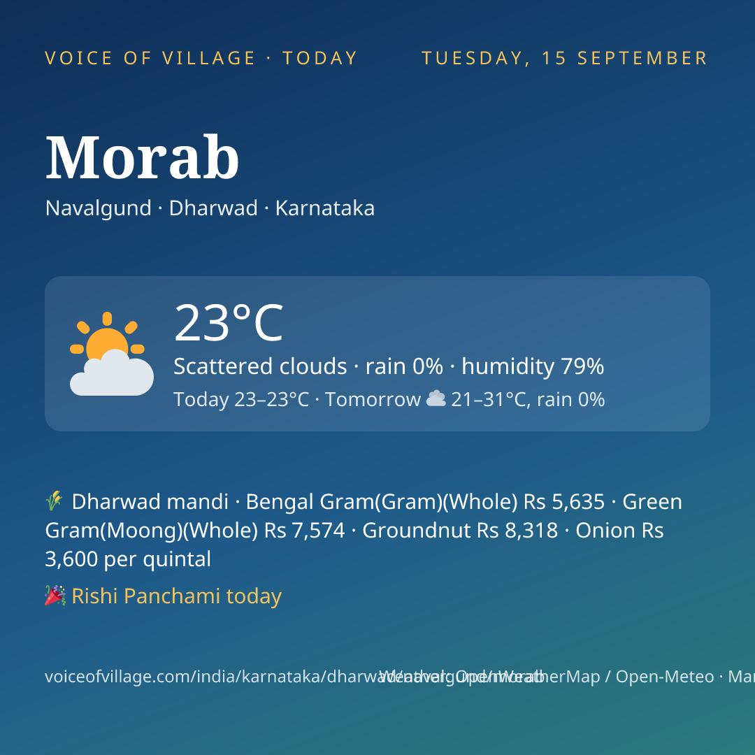 Morab today