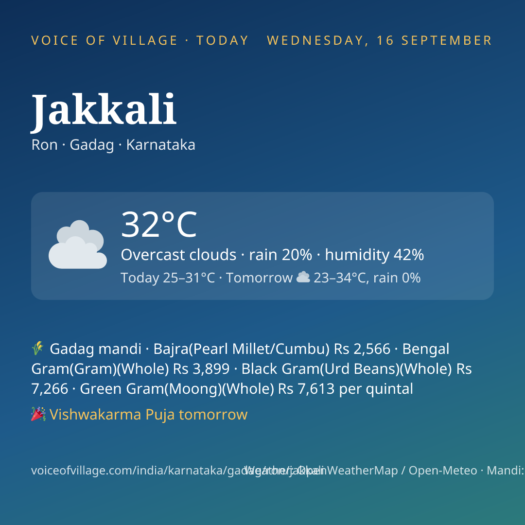 Jakkali today