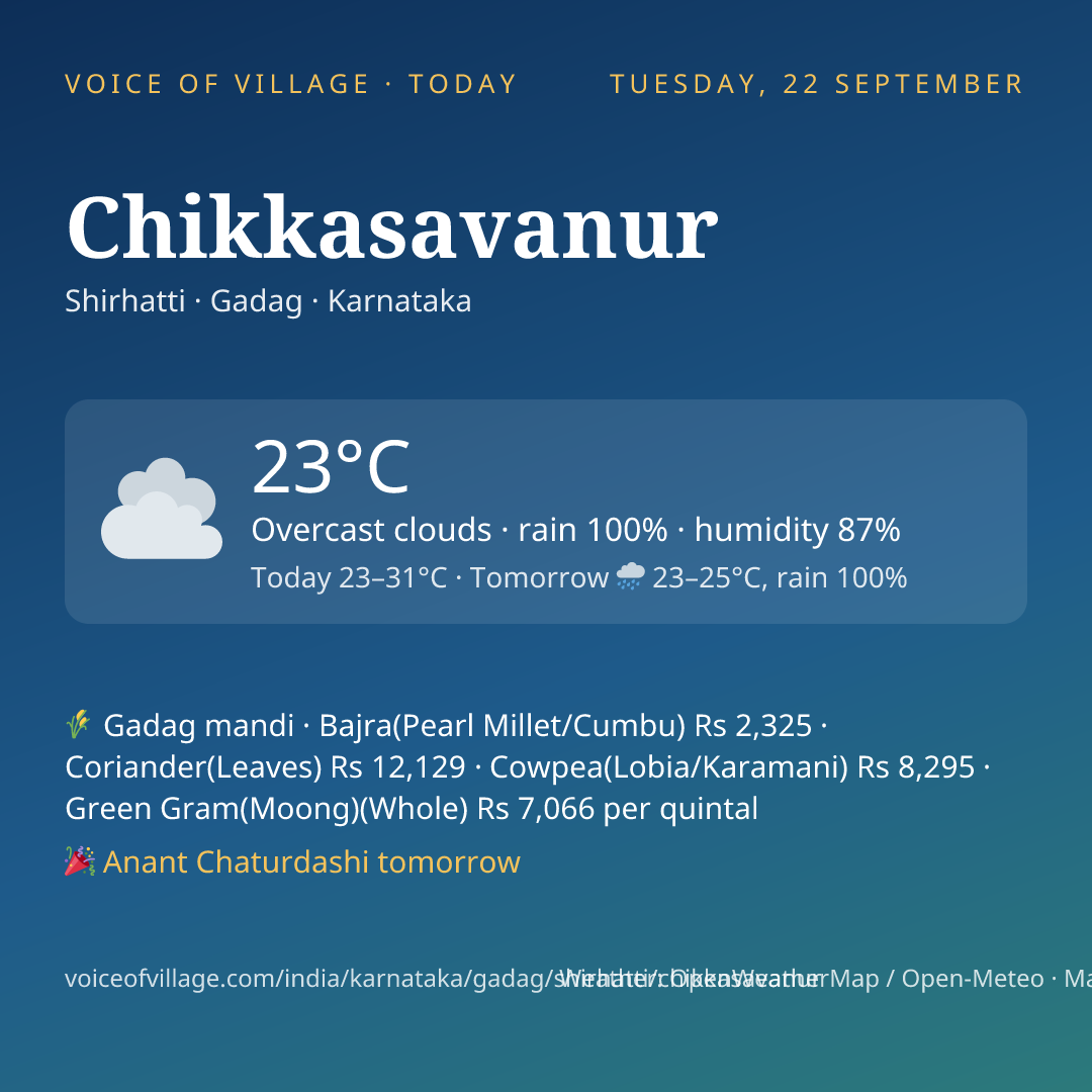 Chikkasavanur today