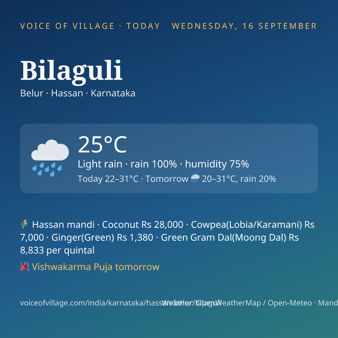 Bilaguli today