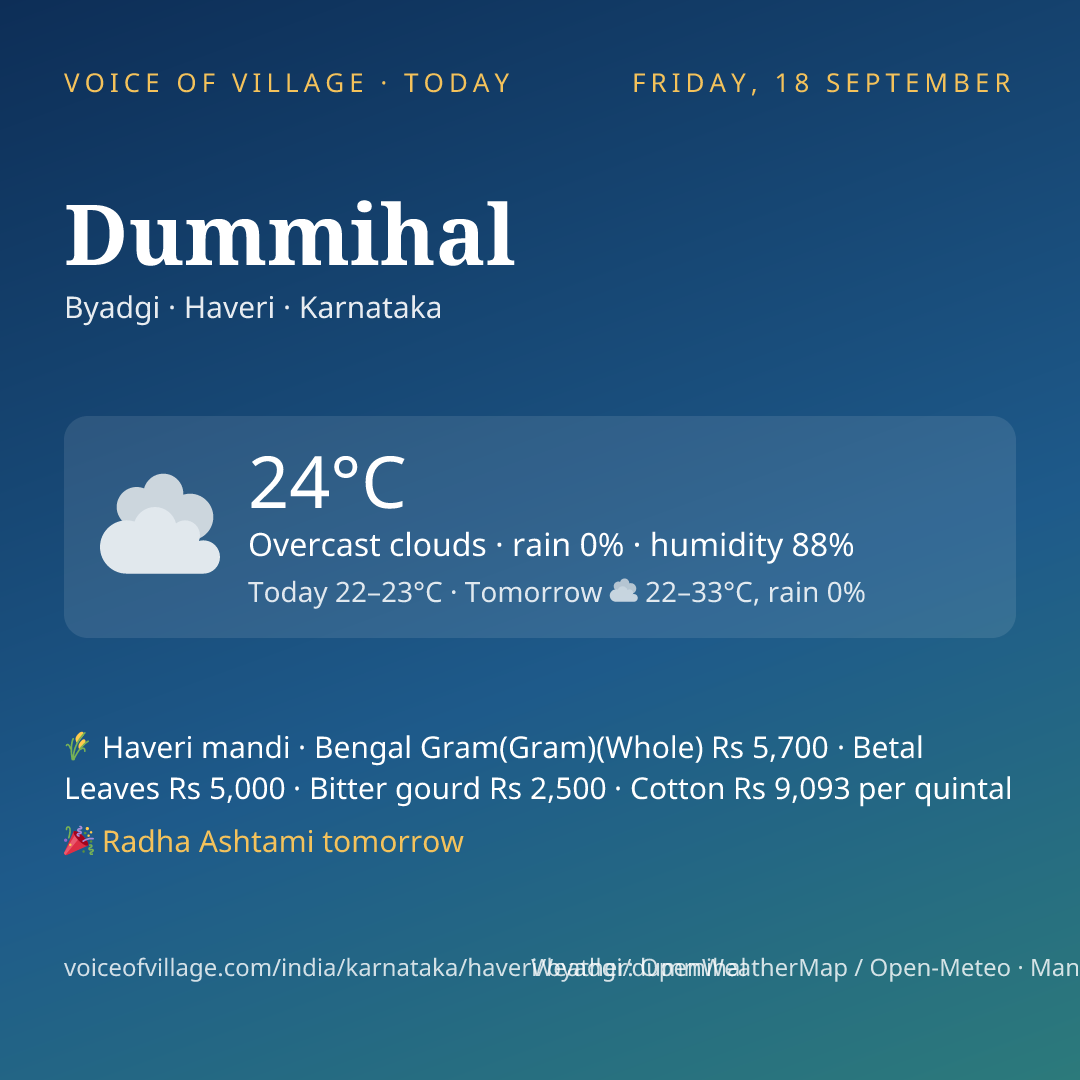 Dummihal today