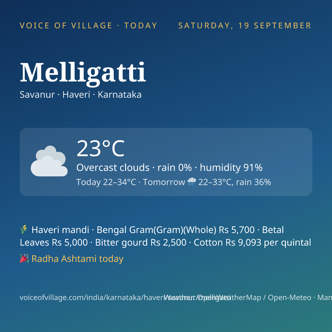 Melligatti today