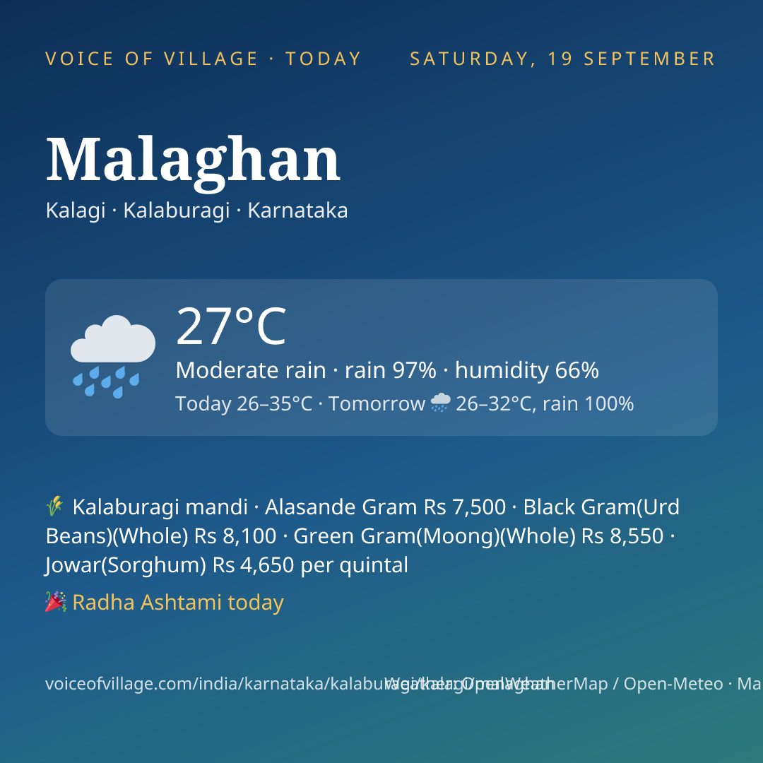 Malaghan today