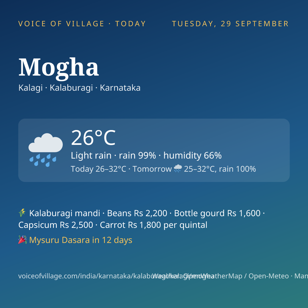 Mogha today