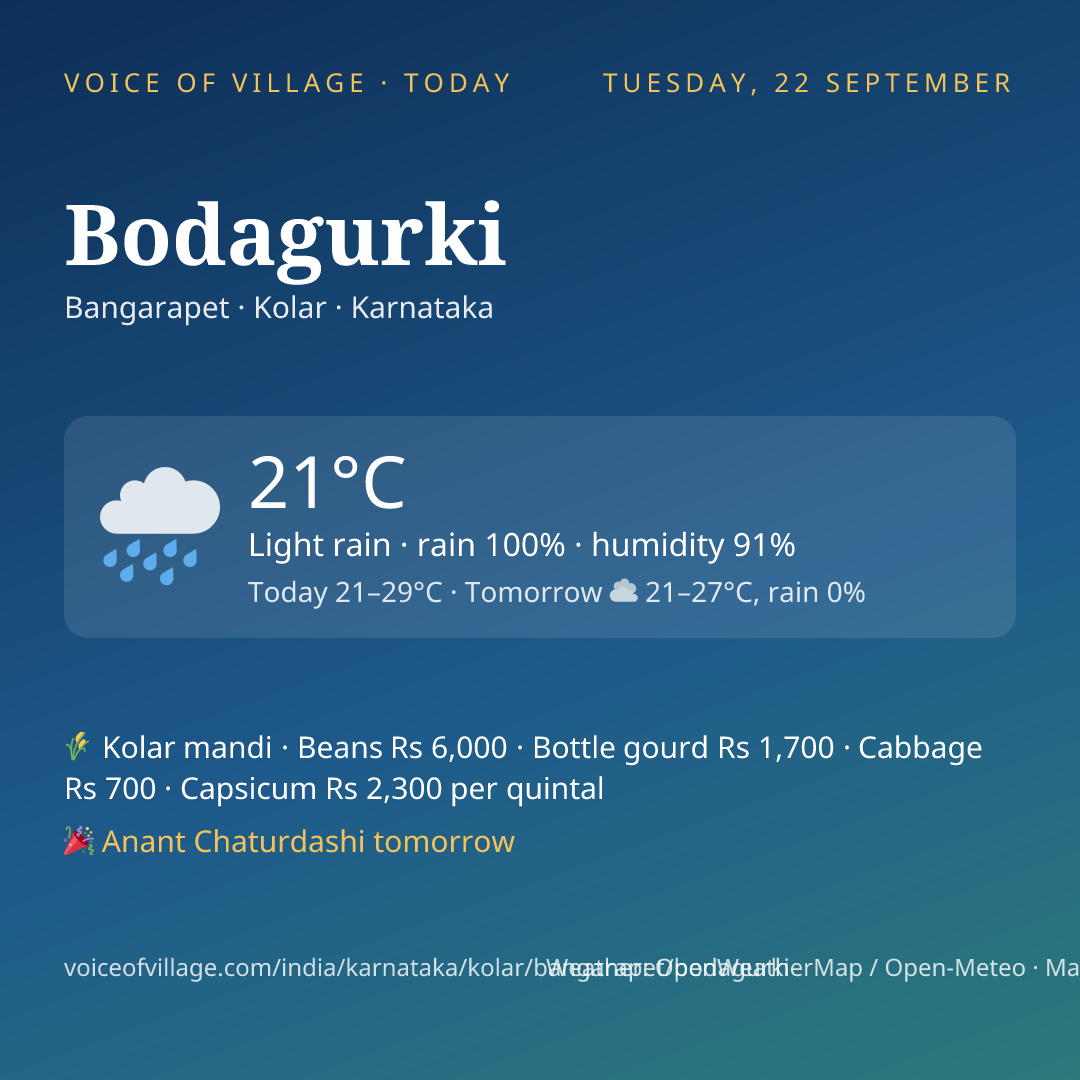 Bodagurki today